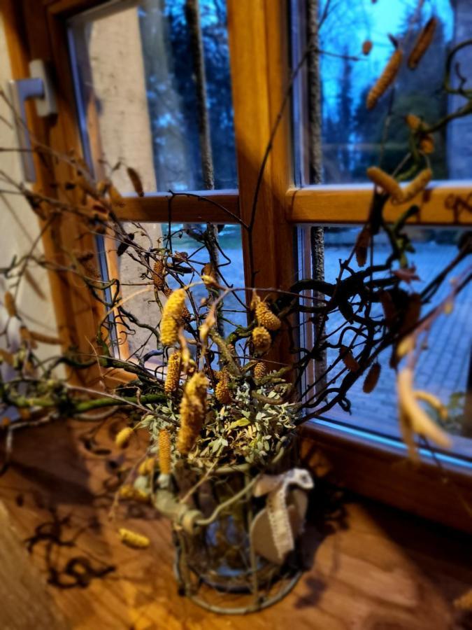 Ferienhaus Drakenhof Бад Залцуфлен Екстериор снимка